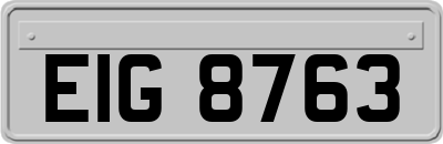 EIG8763