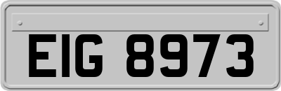 EIG8973