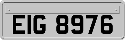 EIG8976