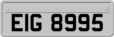 EIG8995