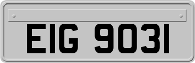 EIG9031