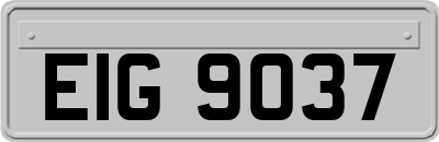 EIG9037
