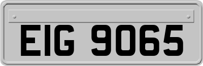 EIG9065