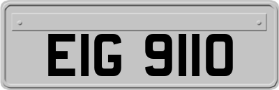 EIG9110
