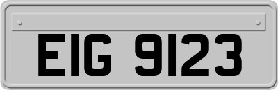 EIG9123
