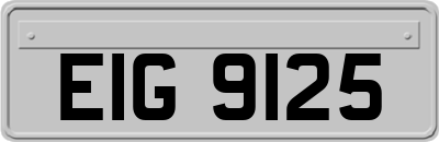 EIG9125