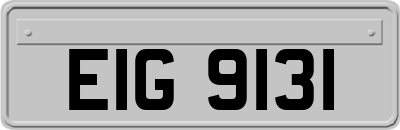 EIG9131
