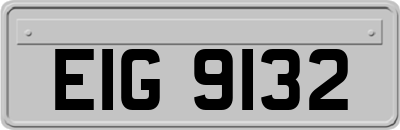 EIG9132
