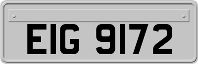 EIG9172