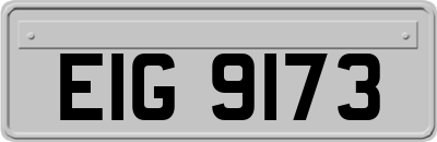 EIG9173