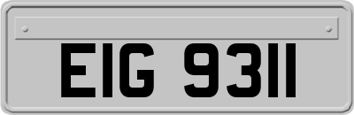 EIG9311