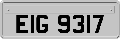 EIG9317