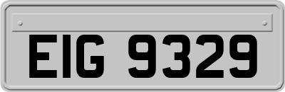 EIG9329