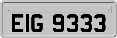 EIG9333