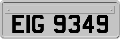EIG9349