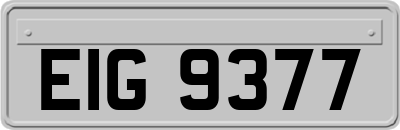 EIG9377