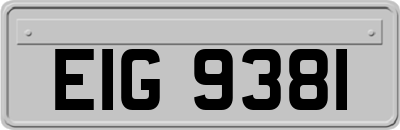 EIG9381