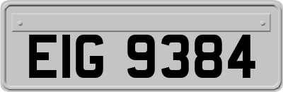 EIG9384