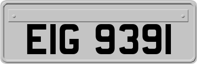 EIG9391