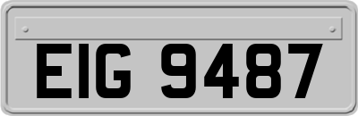 EIG9487
