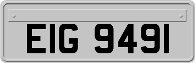 EIG9491