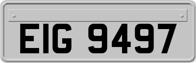 EIG9497