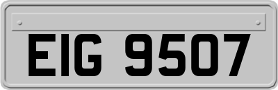 EIG9507