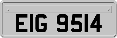EIG9514