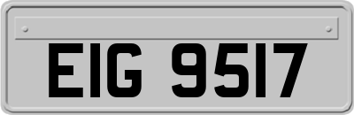 EIG9517