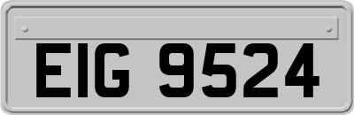 EIG9524