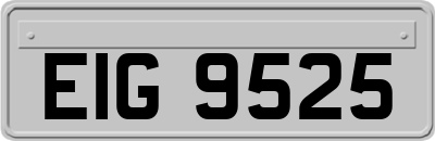 EIG9525