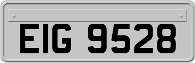EIG9528
