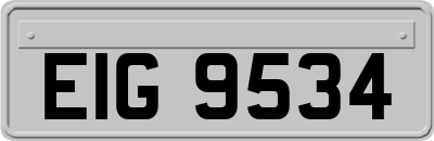 EIG9534