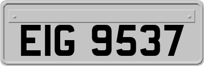 EIG9537
