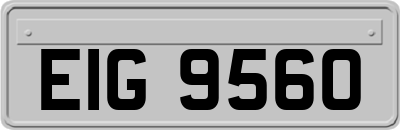 EIG9560