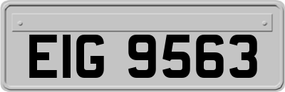 EIG9563