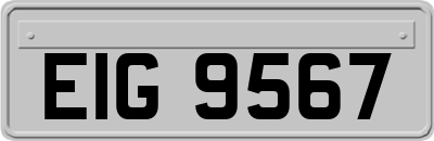 EIG9567