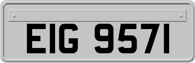 EIG9571