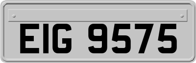 EIG9575