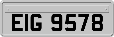 EIG9578