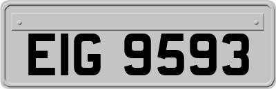 EIG9593