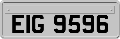 EIG9596