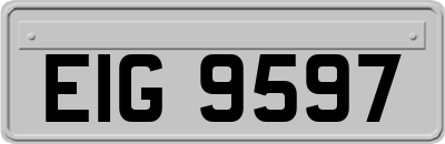 EIG9597