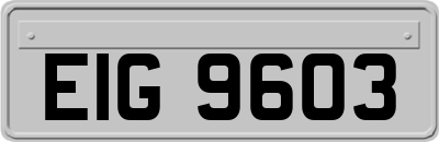 EIG9603