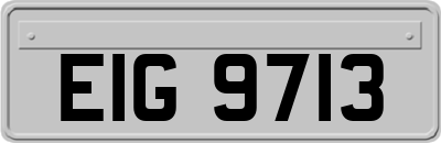 EIG9713