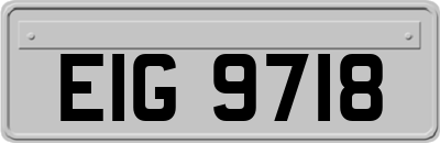 EIG9718