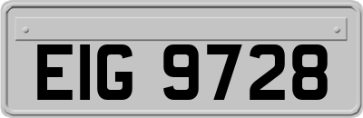EIG9728