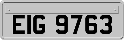 EIG9763