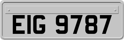 EIG9787