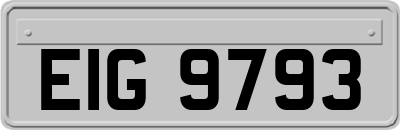 EIG9793